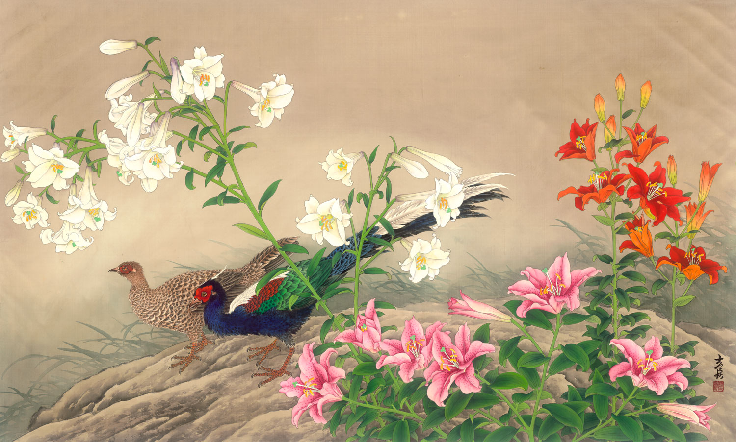 新百合心、其力斷金(台灣百合)