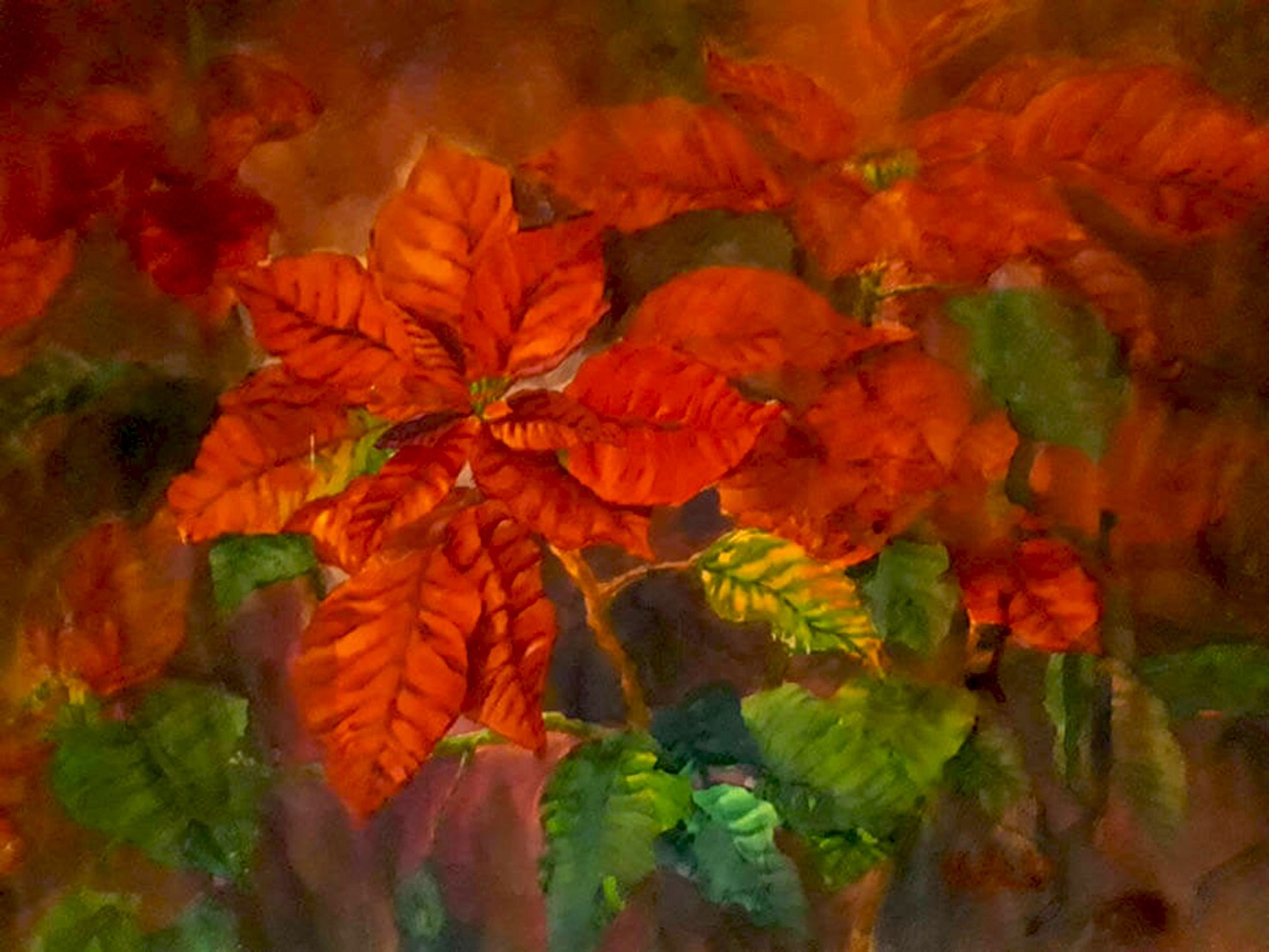 來自雨中的祝福